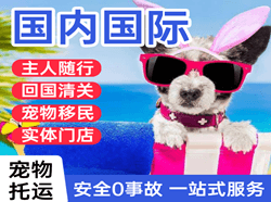 尧都国际宠物托运 【国